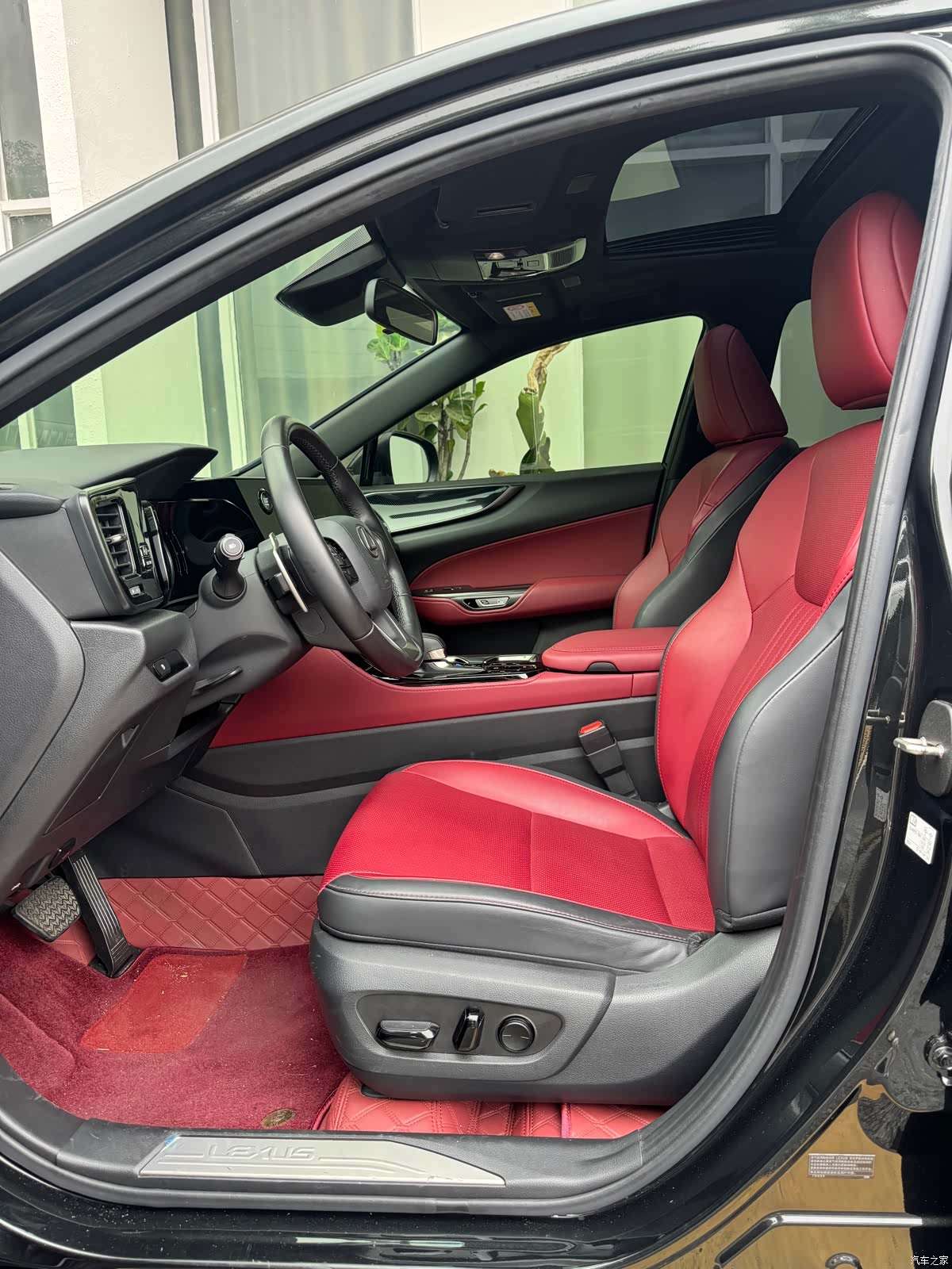 Lexus NX, 2024 все фото