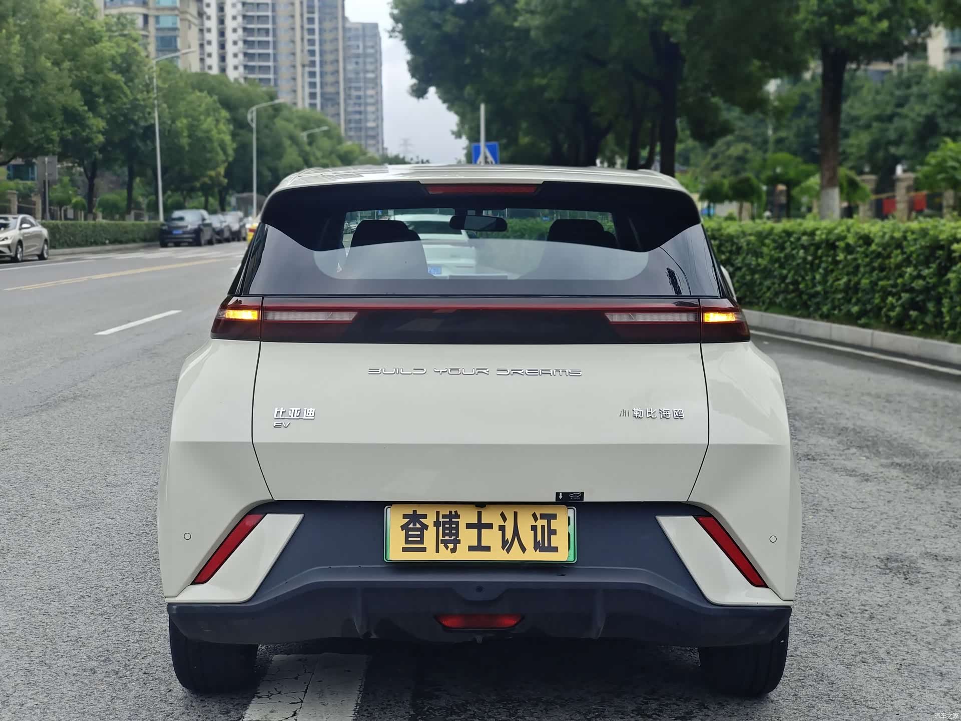 BYD Seagull, 2023 6