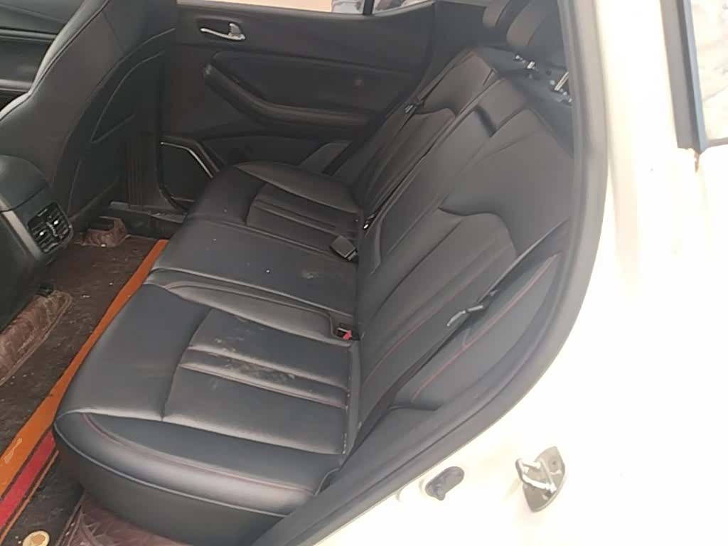GAC GS4, 2021 17