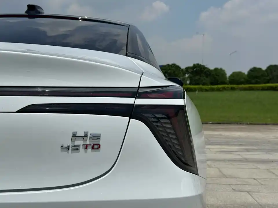 Hongqi H6