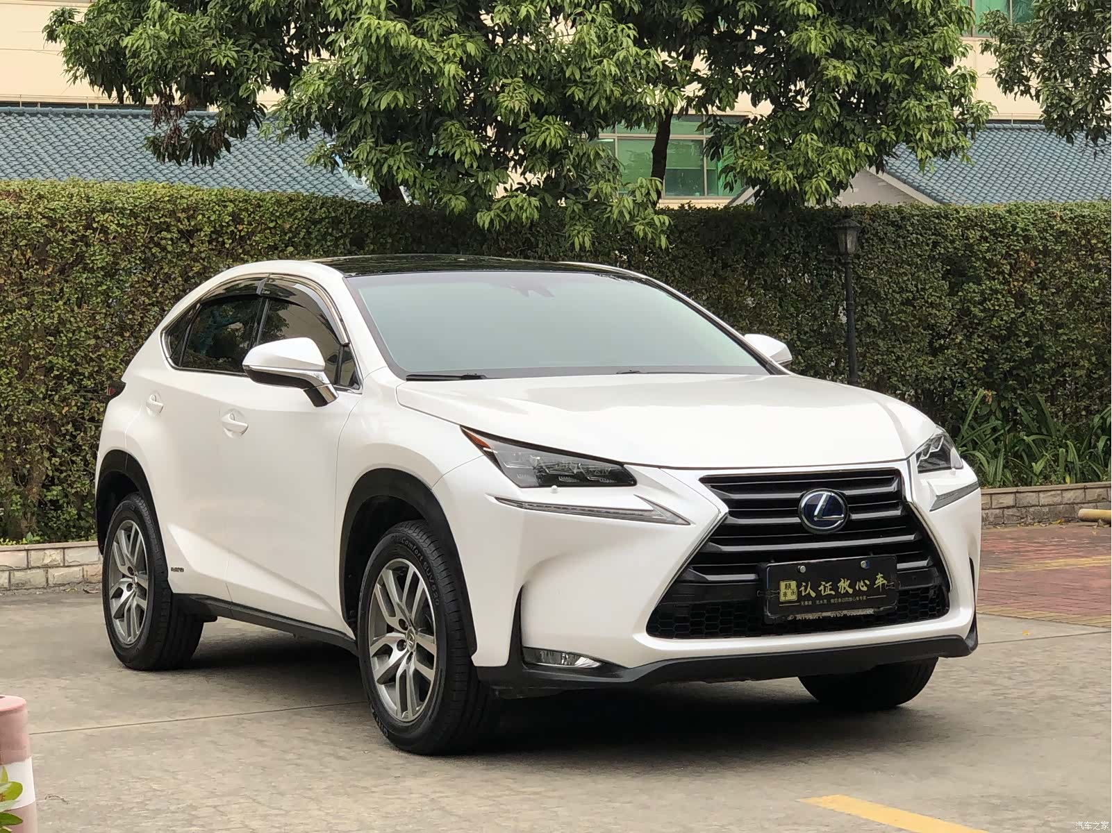 Lexus NX, 2016 3