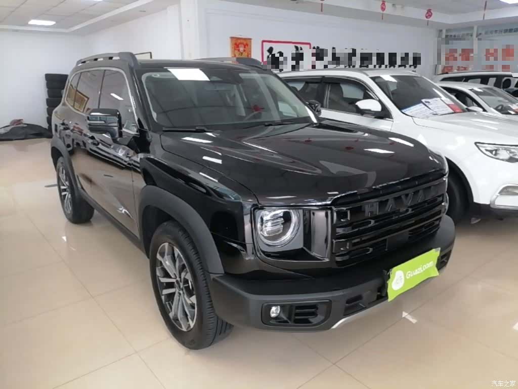 Haval Big Dog, 2024 4