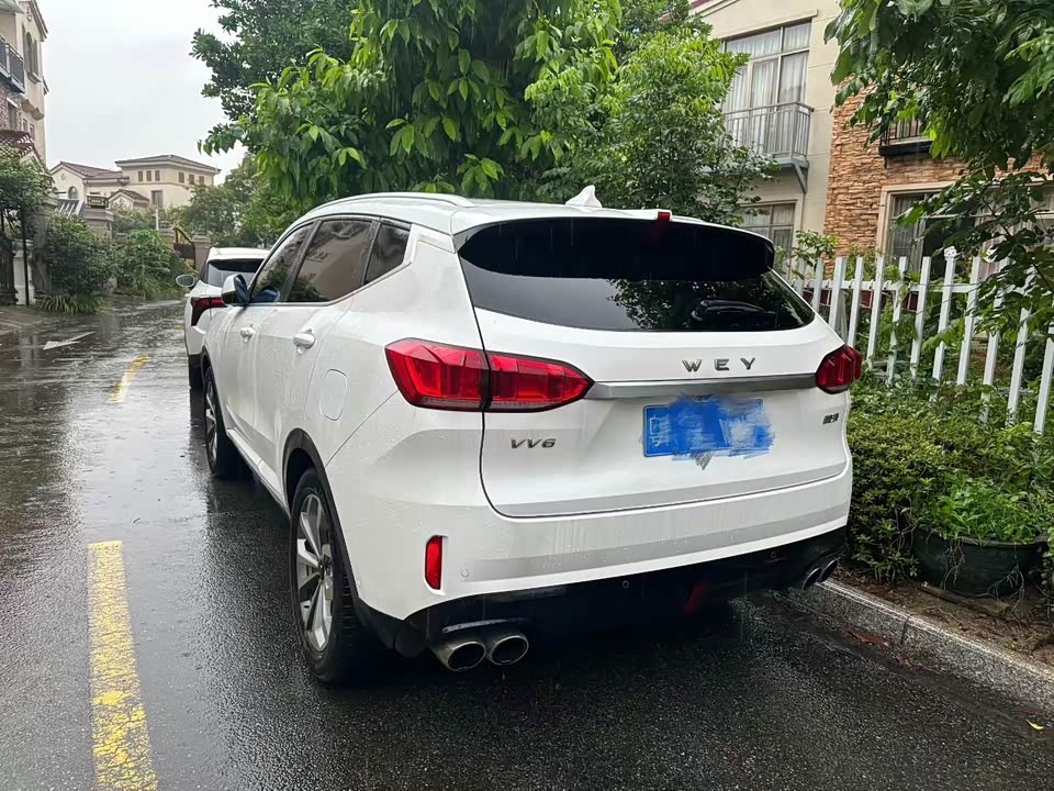Weipai VV6