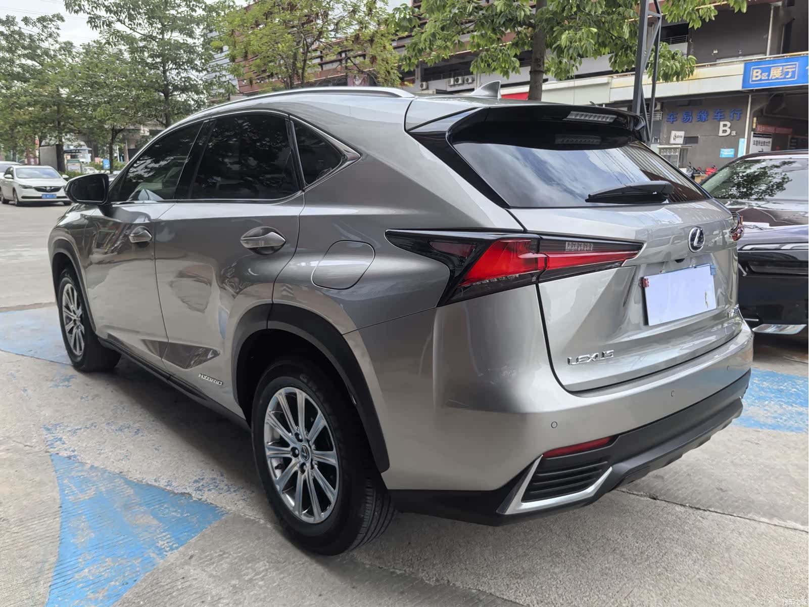 Lexus NX, 2021 все фото