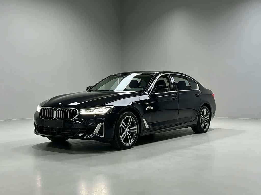 BMW 5 Series 5 2021 530Li Lead Luxury