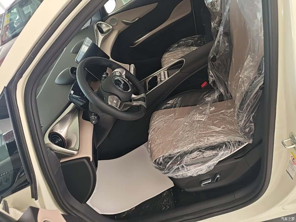 BYD Dolphin, 2026 15