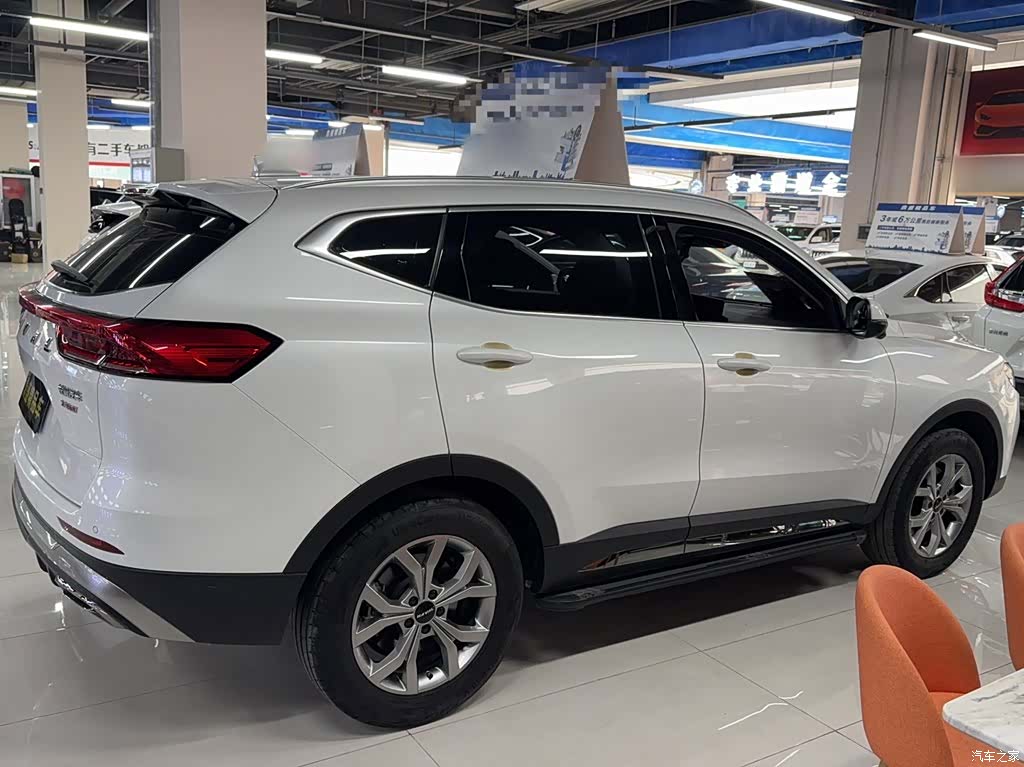 Haval H6, 2023 все фото