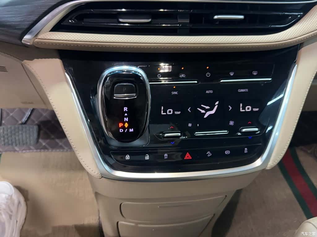 Buick GL8, 2021 10