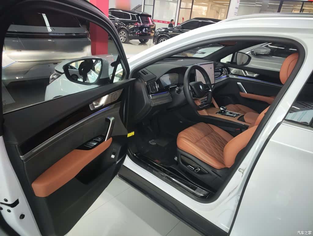 BYD Tang, 2023 16