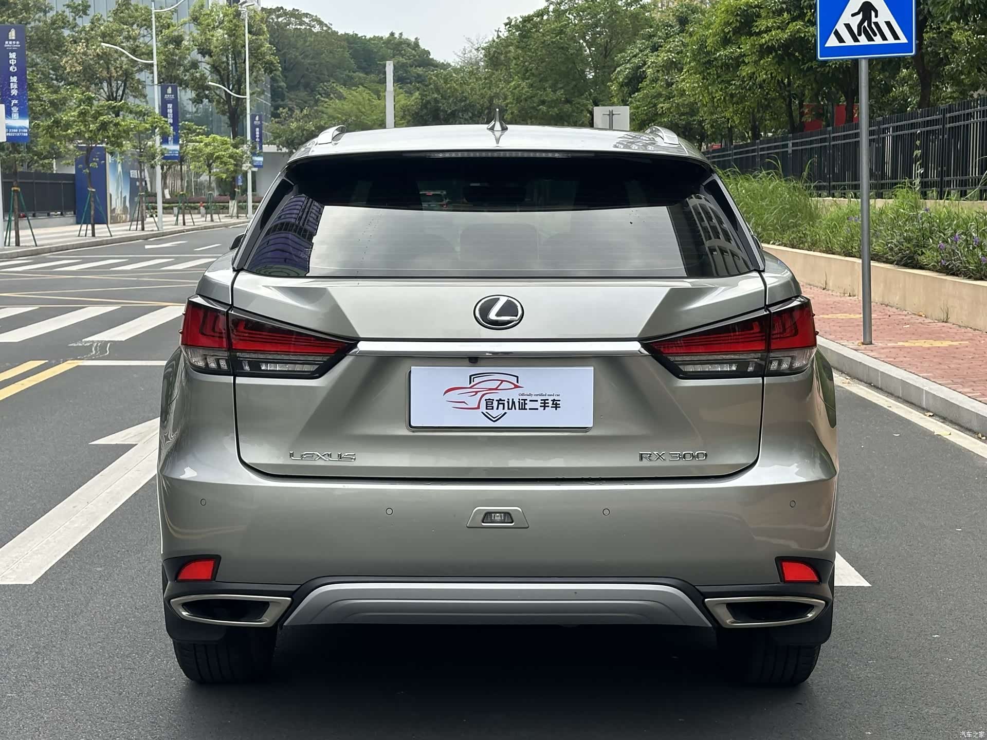 Lexus RX, 2021 все фото