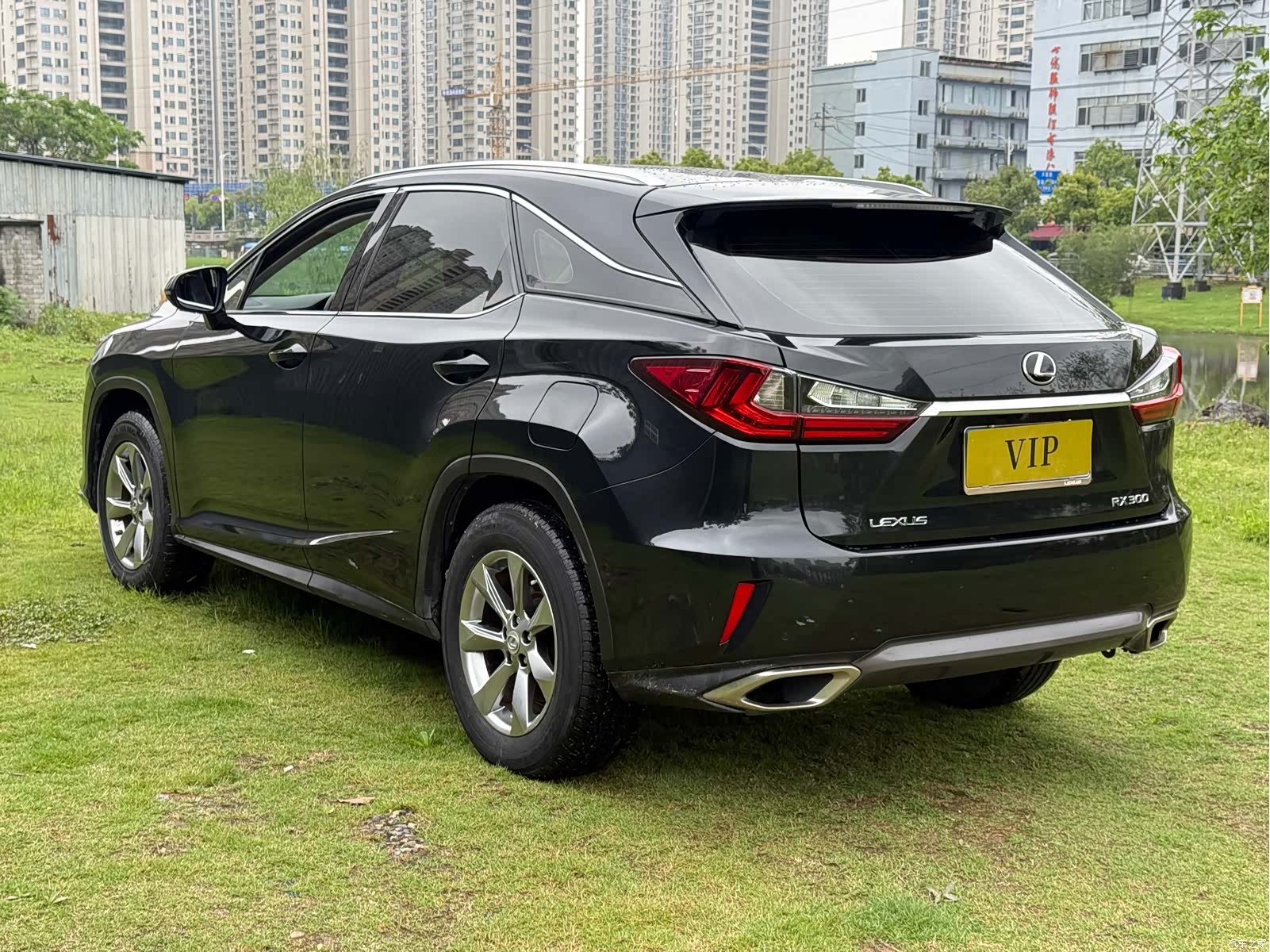 Lexus RX, 2019 6