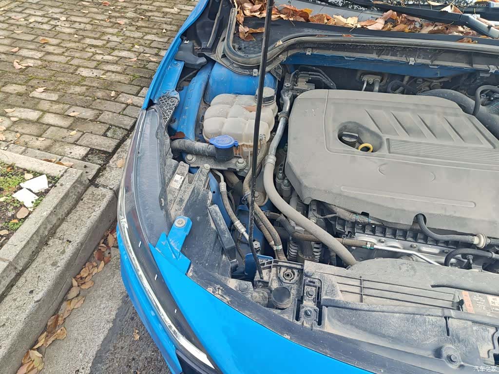 Ford Focus, 2023 21