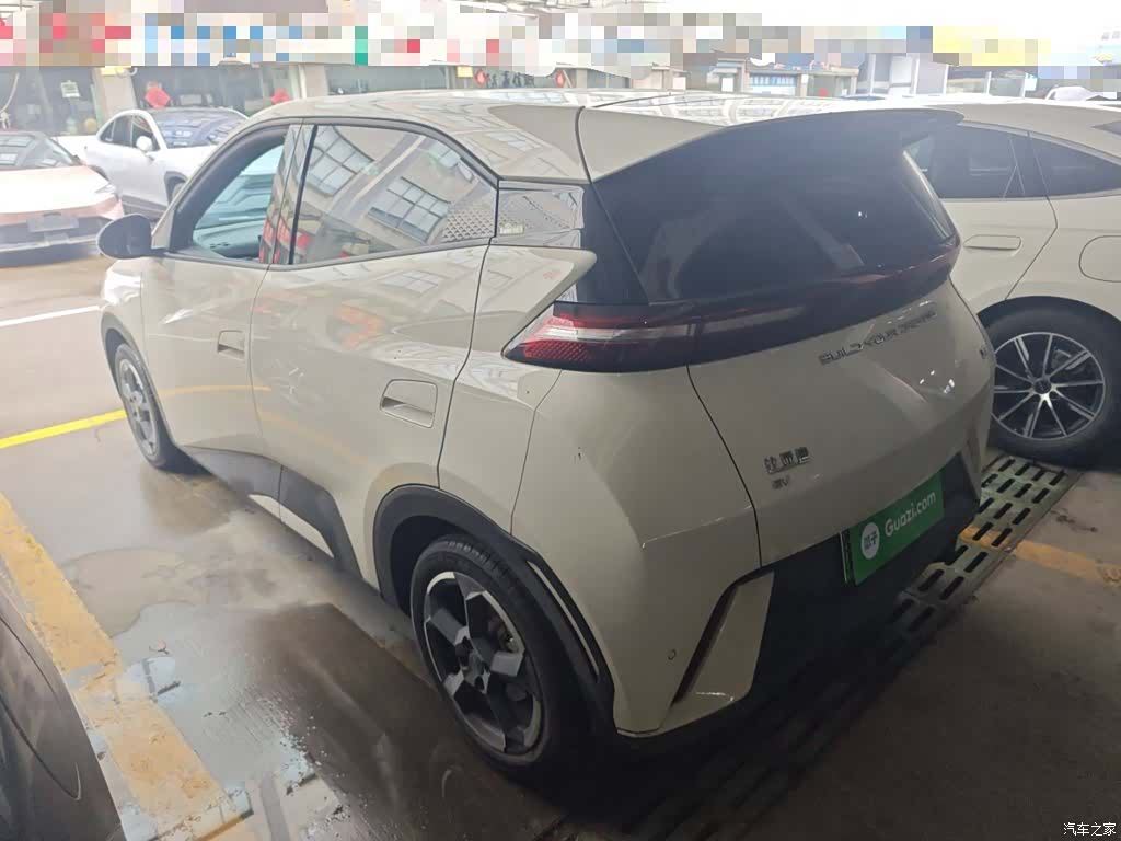 BYD Seagull, 2024 24