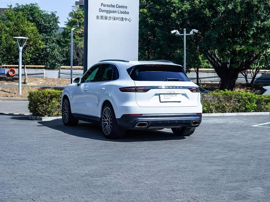 Porsche Cayenne 2022, фото 13