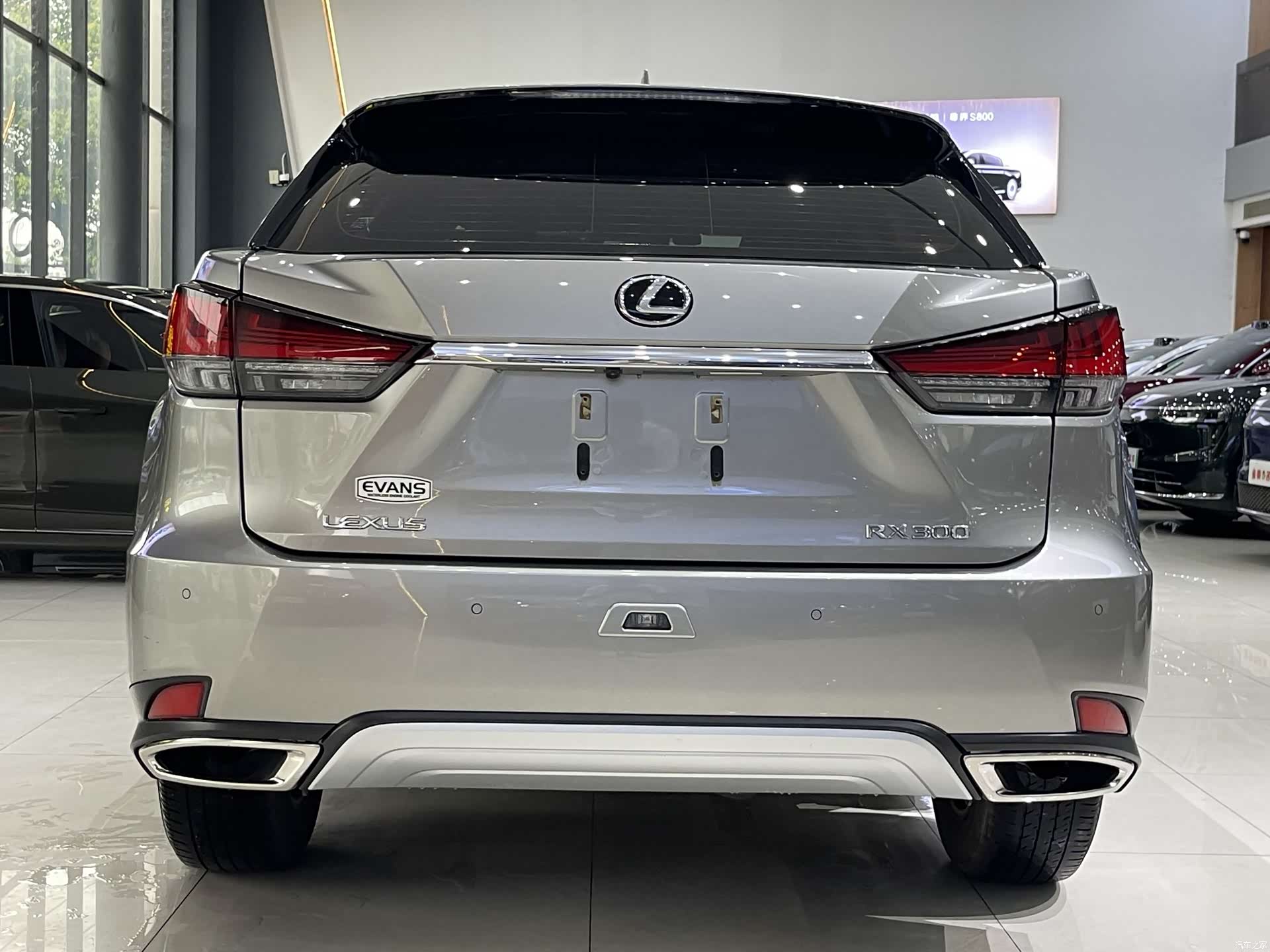 Lexus RX, 2020 все фото