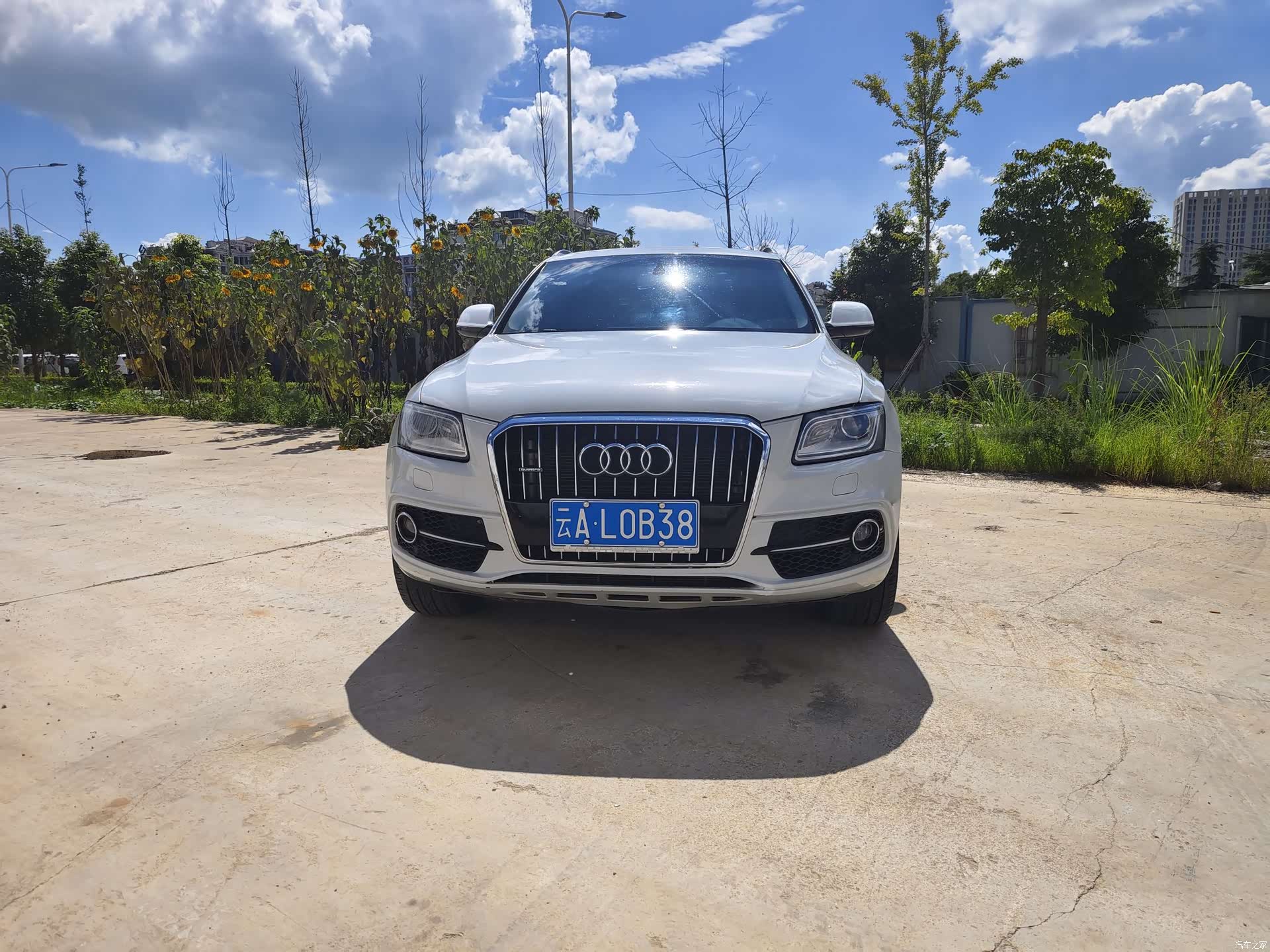 Audi Q5, 2017 2