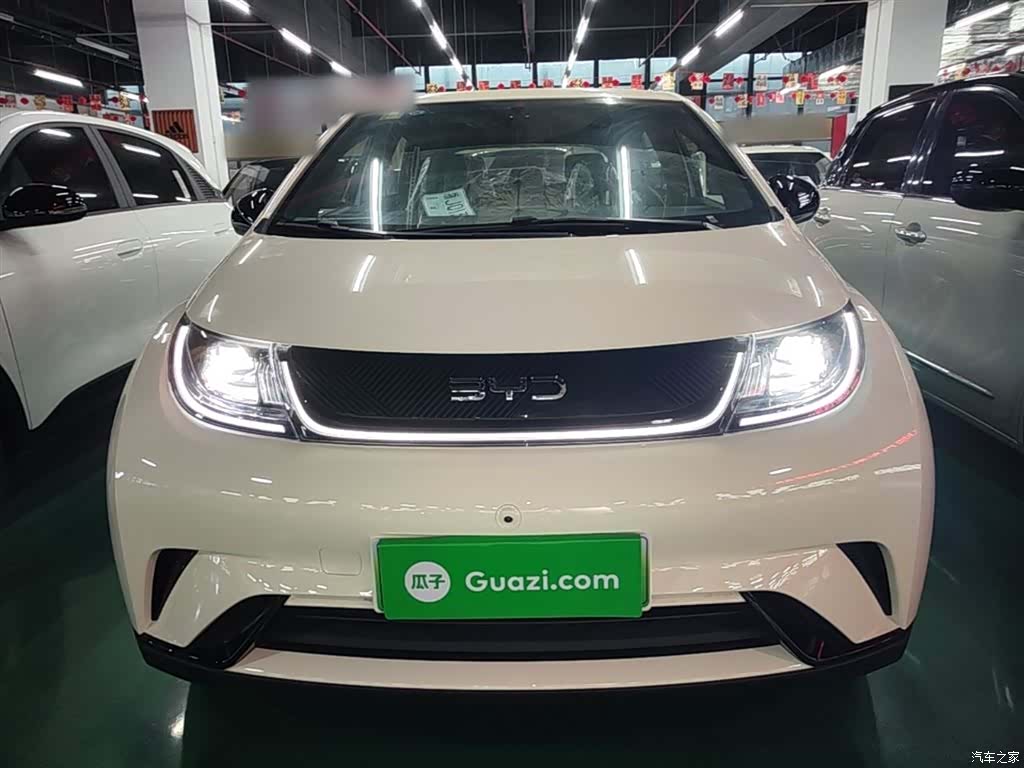 BYD Dolphin, 2026 3