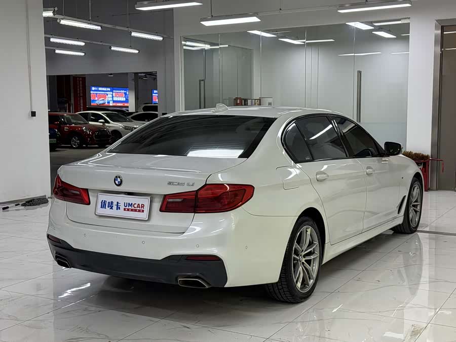 BMW 5 Series 2019, фото 6
