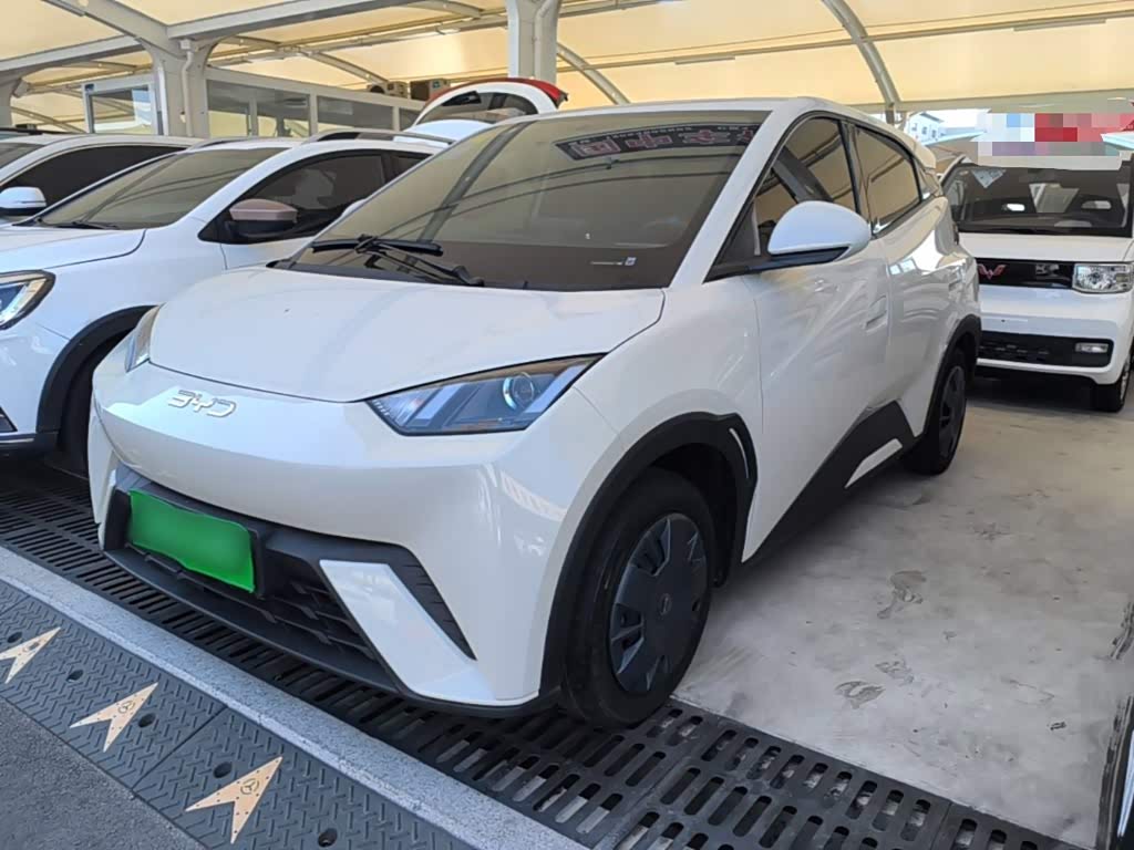 BYD Seagull