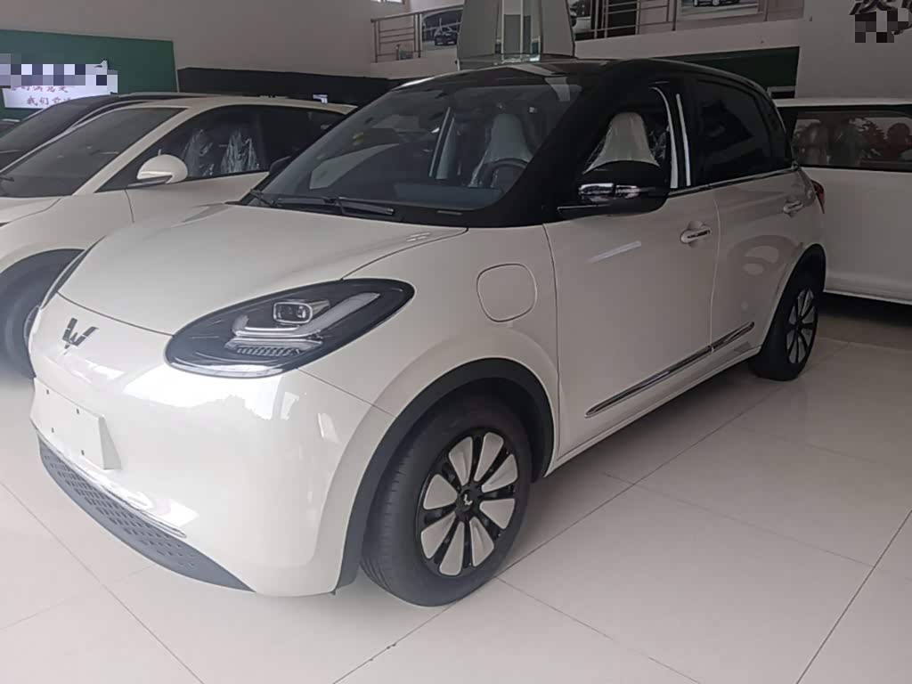 Wuling Binguo