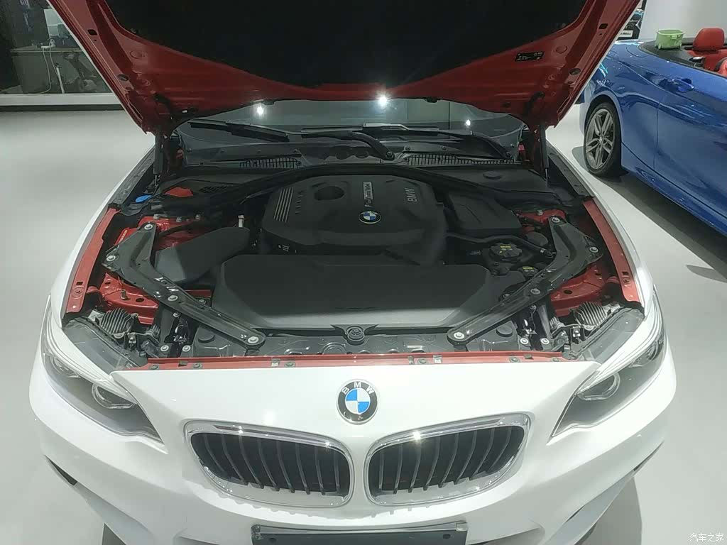 BMW 2 Series, 2018 16
