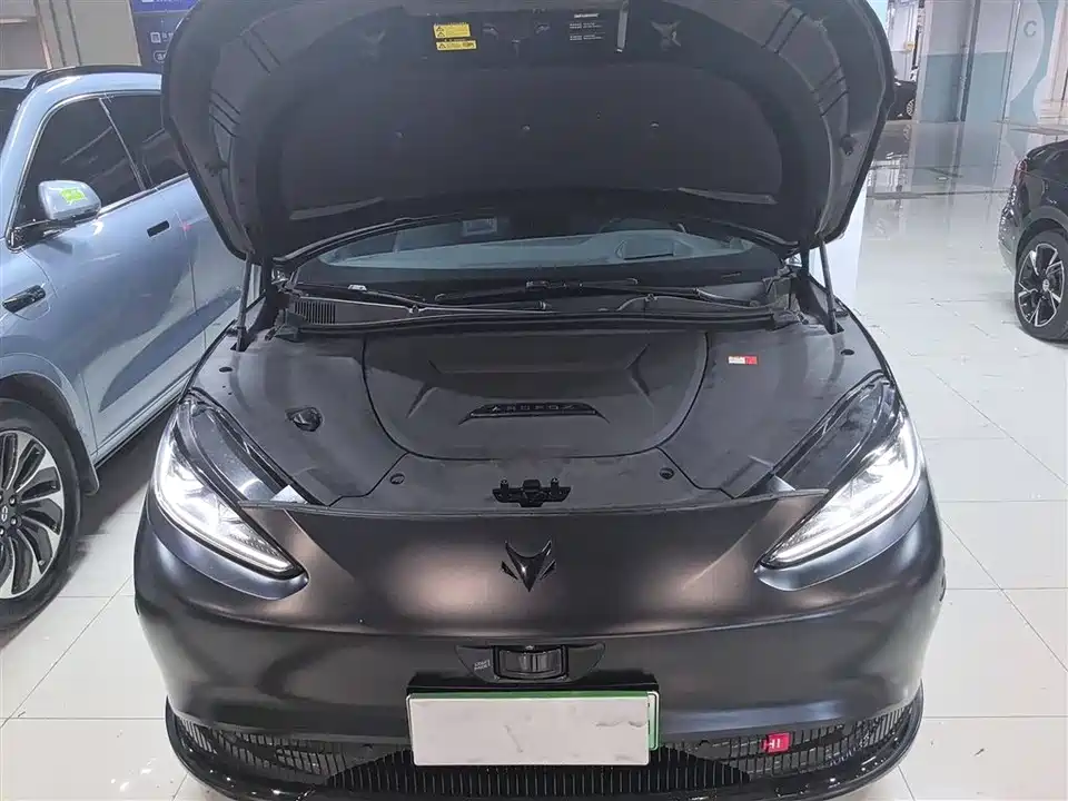 ARCFOX Polar Fox Alpha S