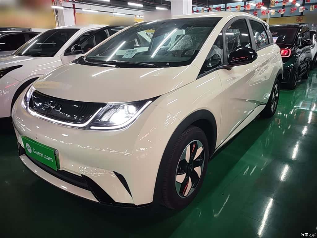 BYD Dolphin, 2026 2