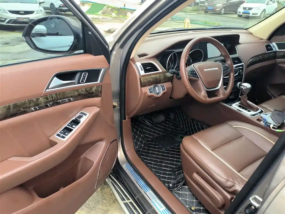 Leopaard Cheetah CS10