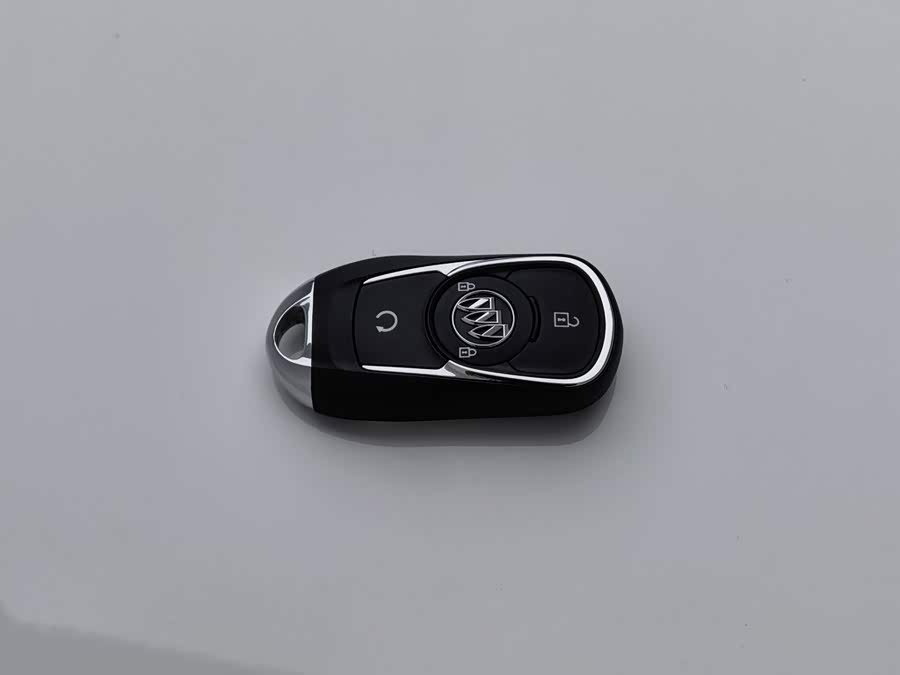 Buick WEY Blue 6 2025, фото 19