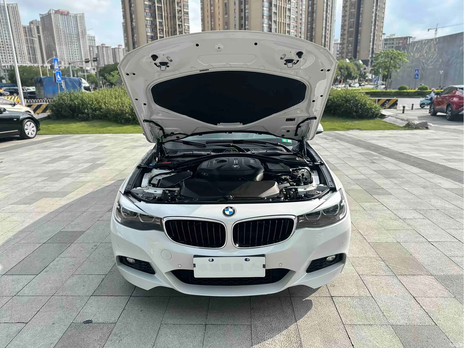 BMW 3 Series, 2019 30