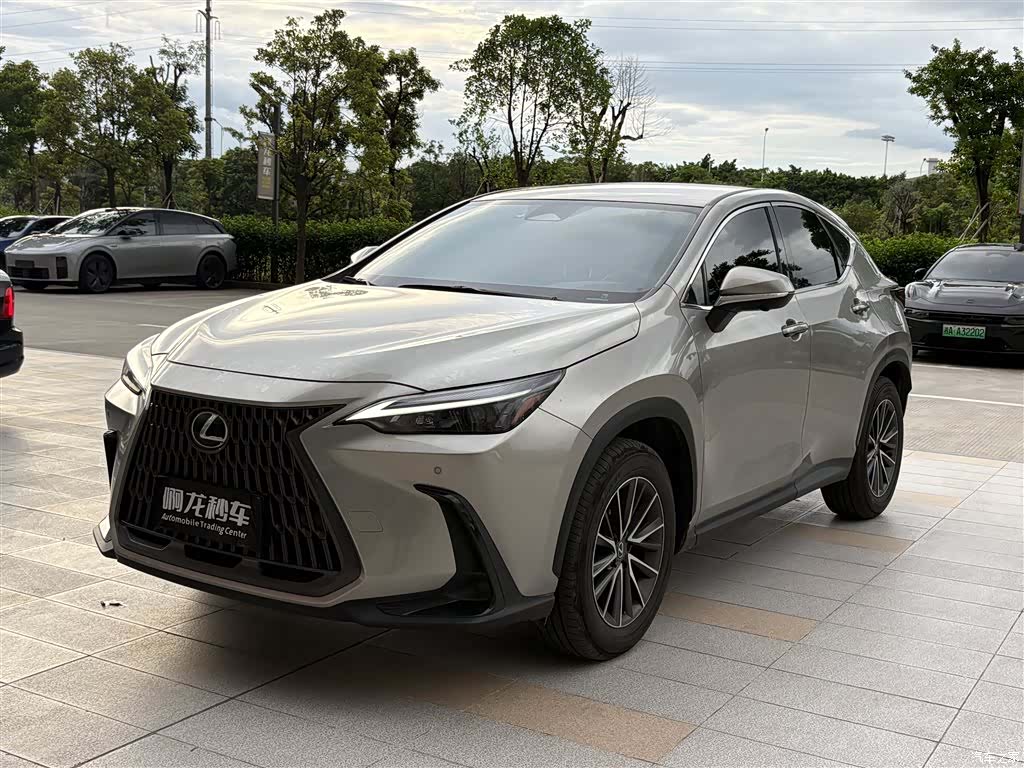 Lexus NX, 2024 1