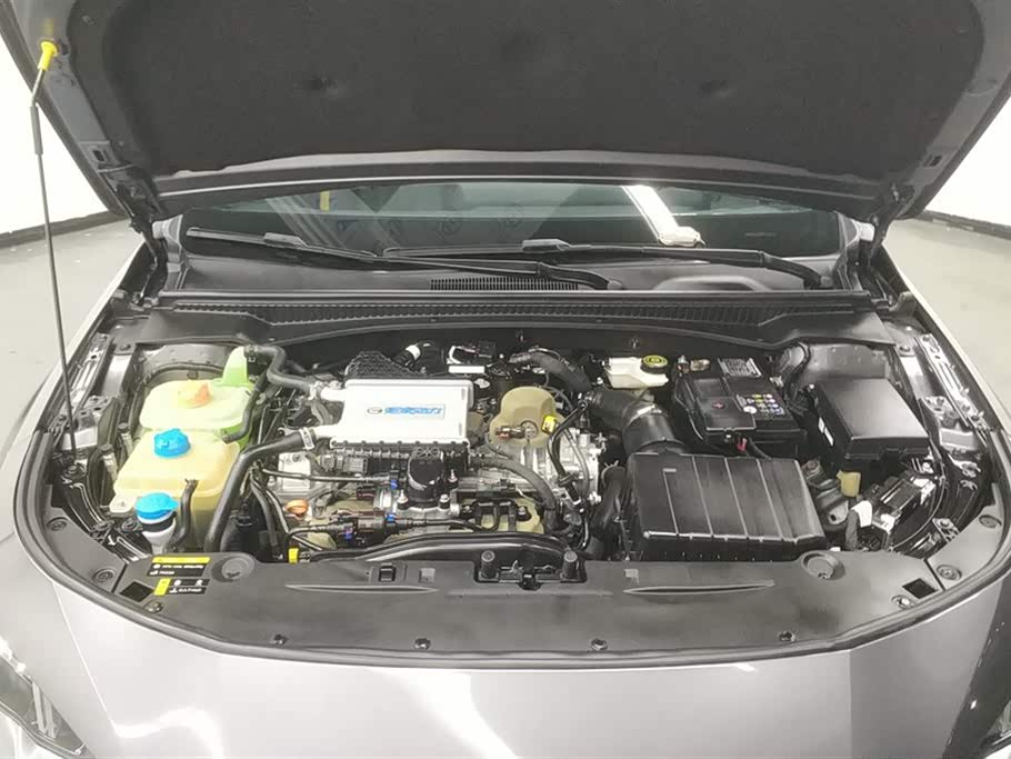 Trumpchi Shadow Leopard