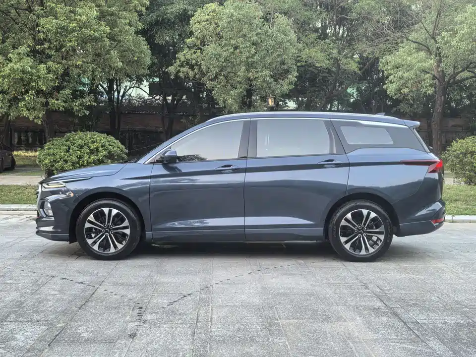 Wuling Wuling Capgemini