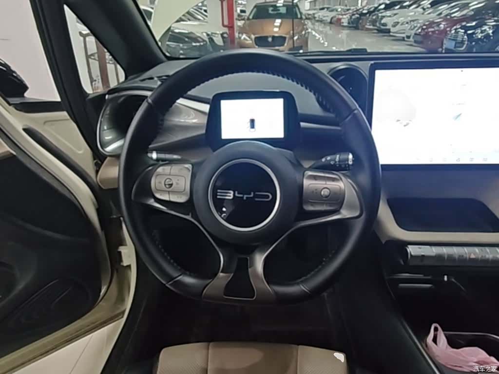 BYD Dolphin, 2023 11
