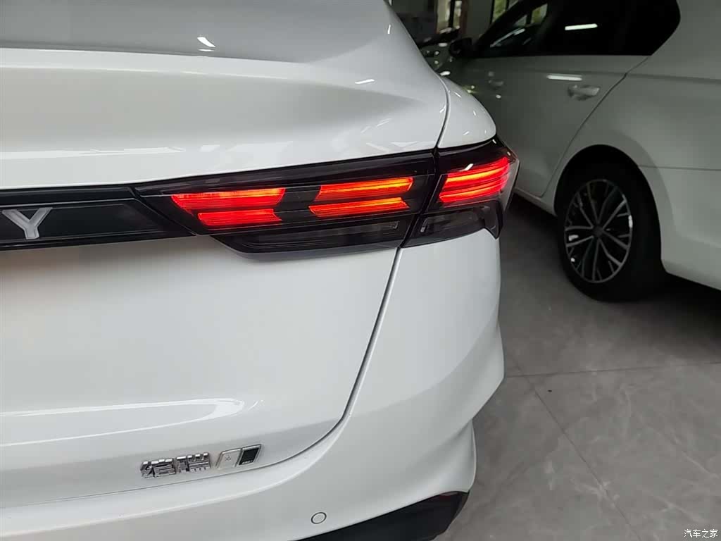 Geely Binray, 2024 8