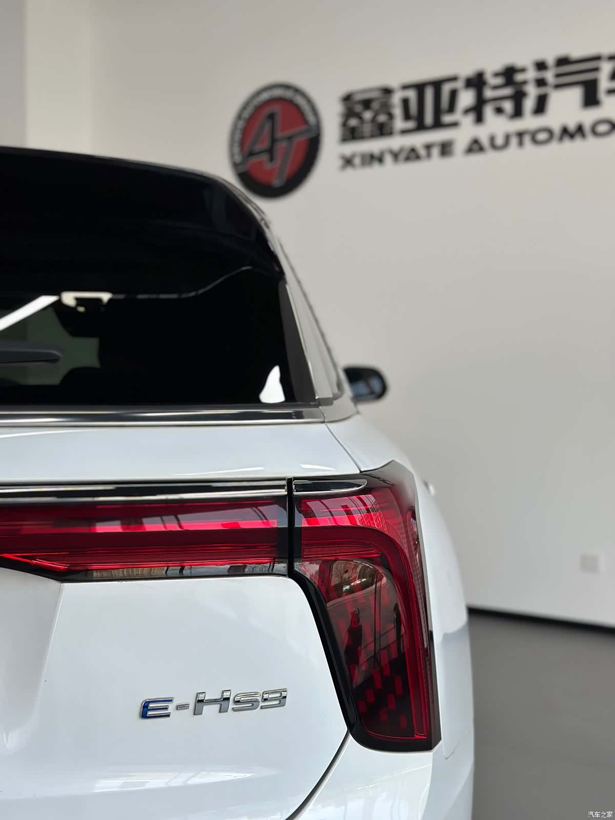 Hongqi E-HS9, 2023 21