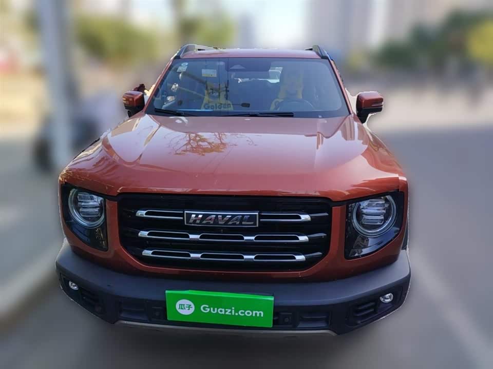 Haval Big dog