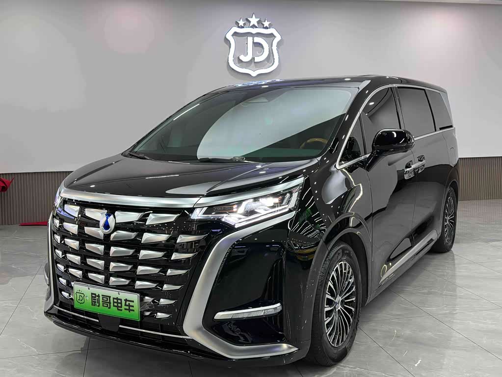 Denza D9