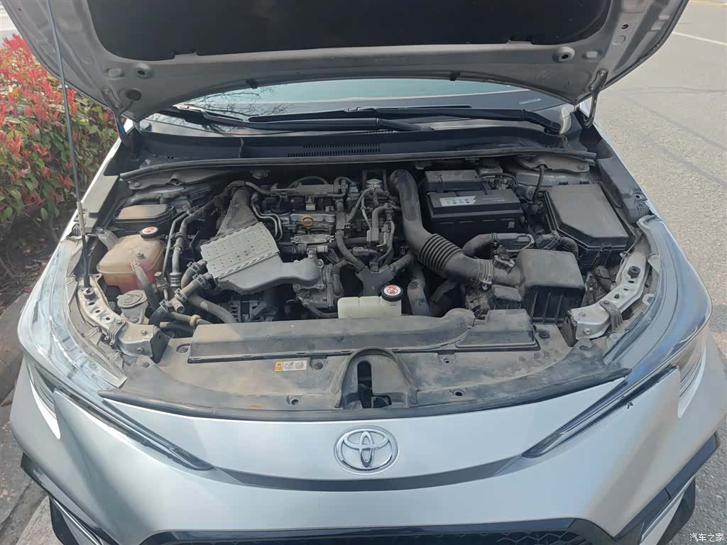Toyota Levin, 2020 11