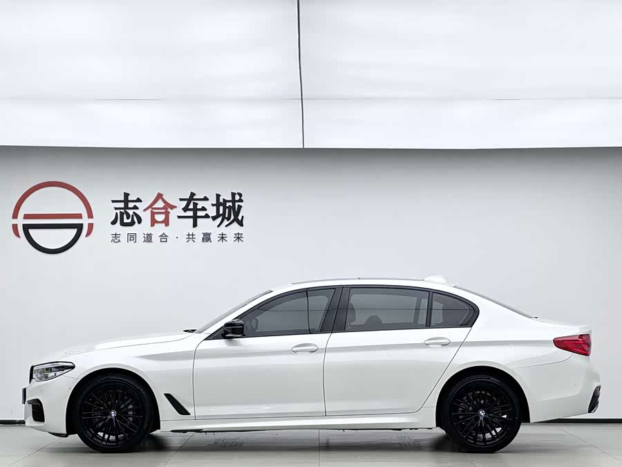 BMW 5 Series 2020, фото 7