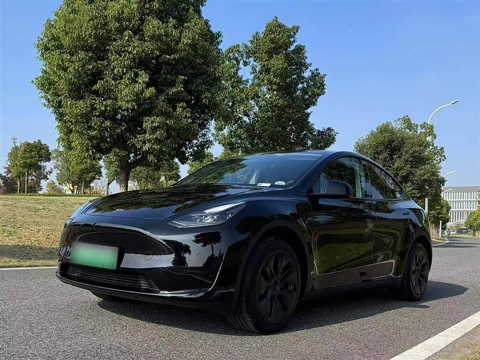 Tesla Model Y Tesla Model Y
