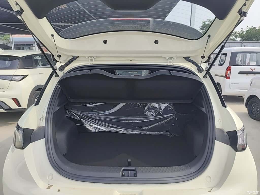 BYD Dolphin, 2026 19