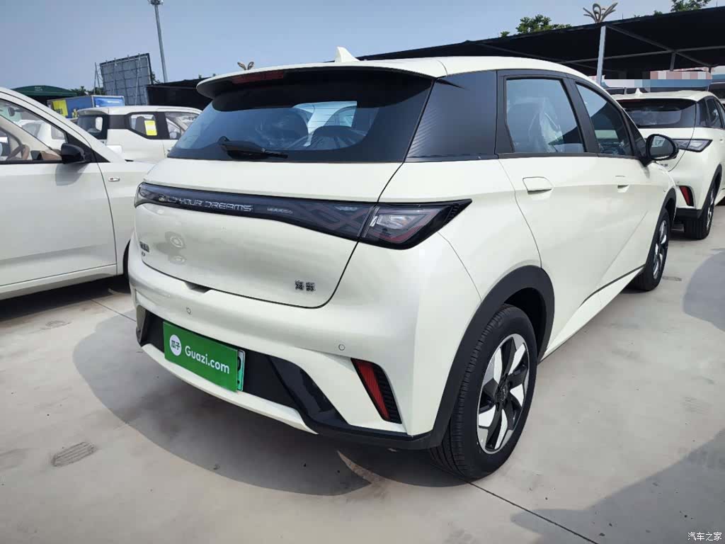 BYD Dolphin, 2026 7
