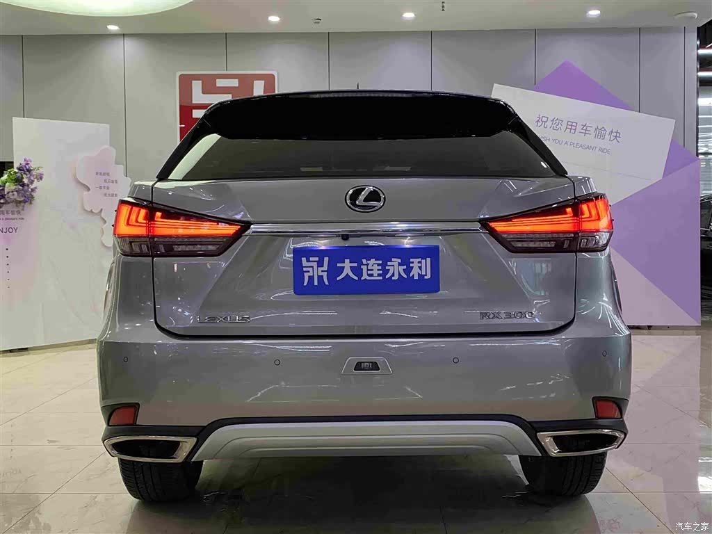 Lexus RX, 2020 16