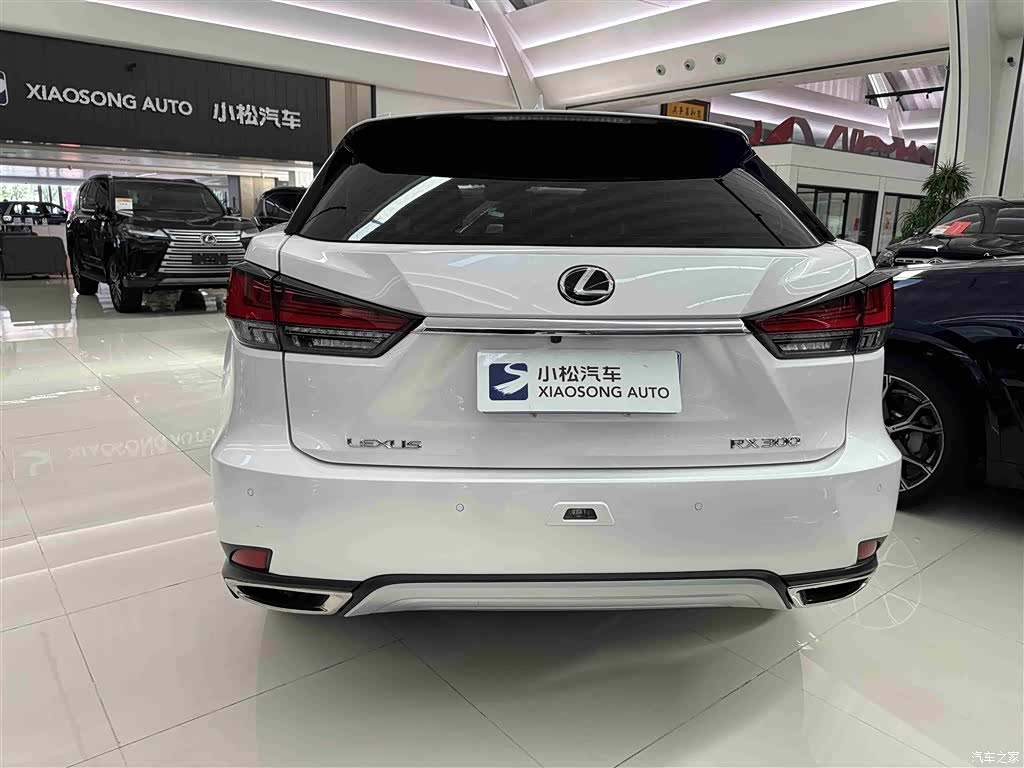 Lexus RX, 2021 20