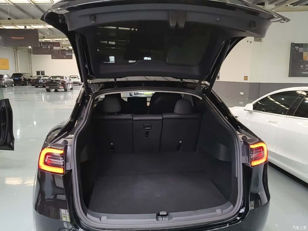 Tesla Model Y, 2021 19