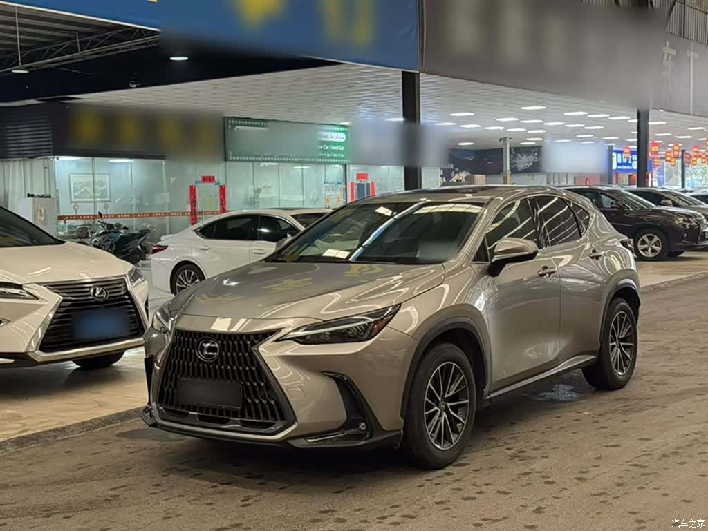 Lexus NX, 2023 2