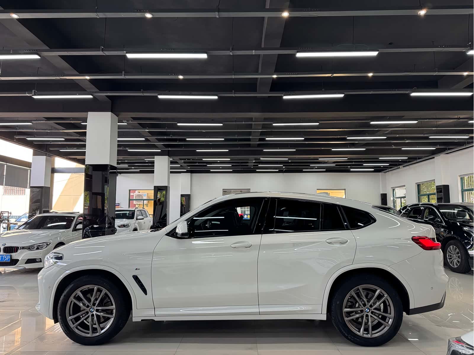 BMW X4, 2021 все фото