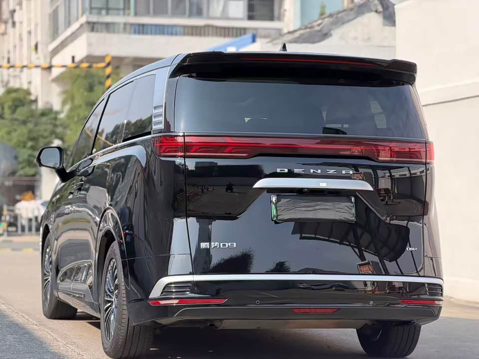 Denza D9