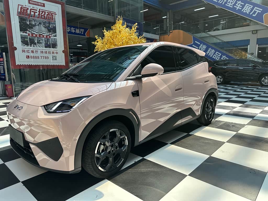 BYD Seagull